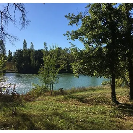 At The Lake * Marsales